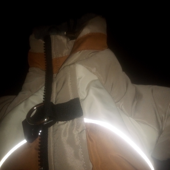 Dog Winter Jacket with Harness Built in - Picture 4 of 5